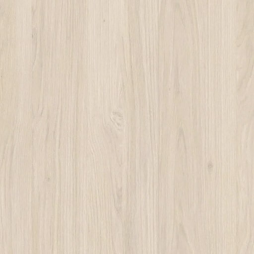 Rovere Vega - Armony Cucine - Made in Italy
